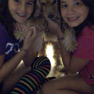 Meet your Posher, Luna